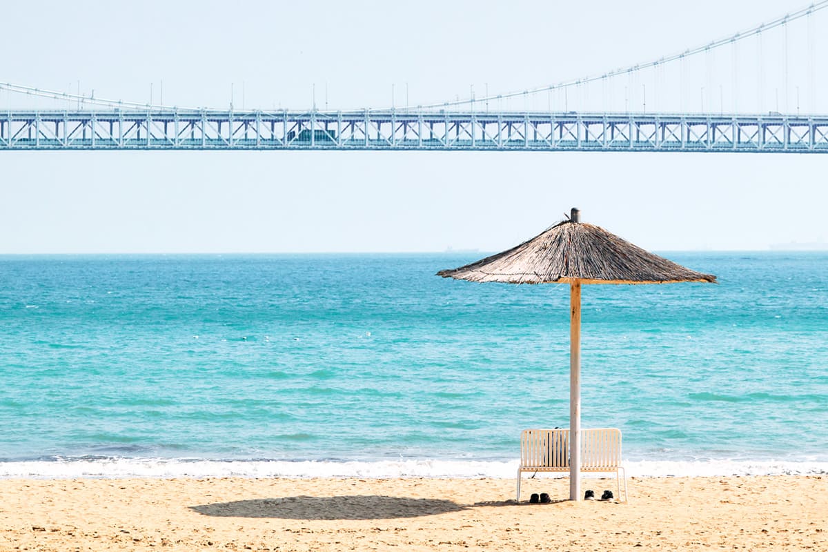 2025년 해수욕장 개장 일정 &amp; 주차장 정보 총정리