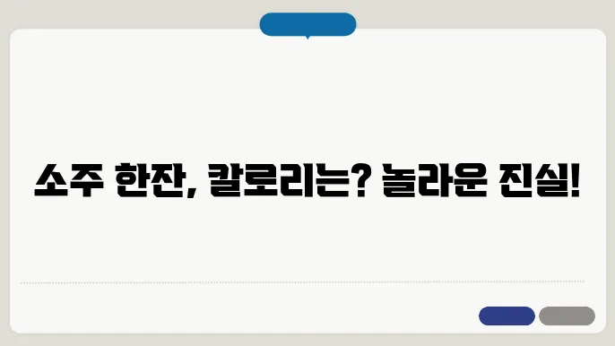 소주한잔 칼로리