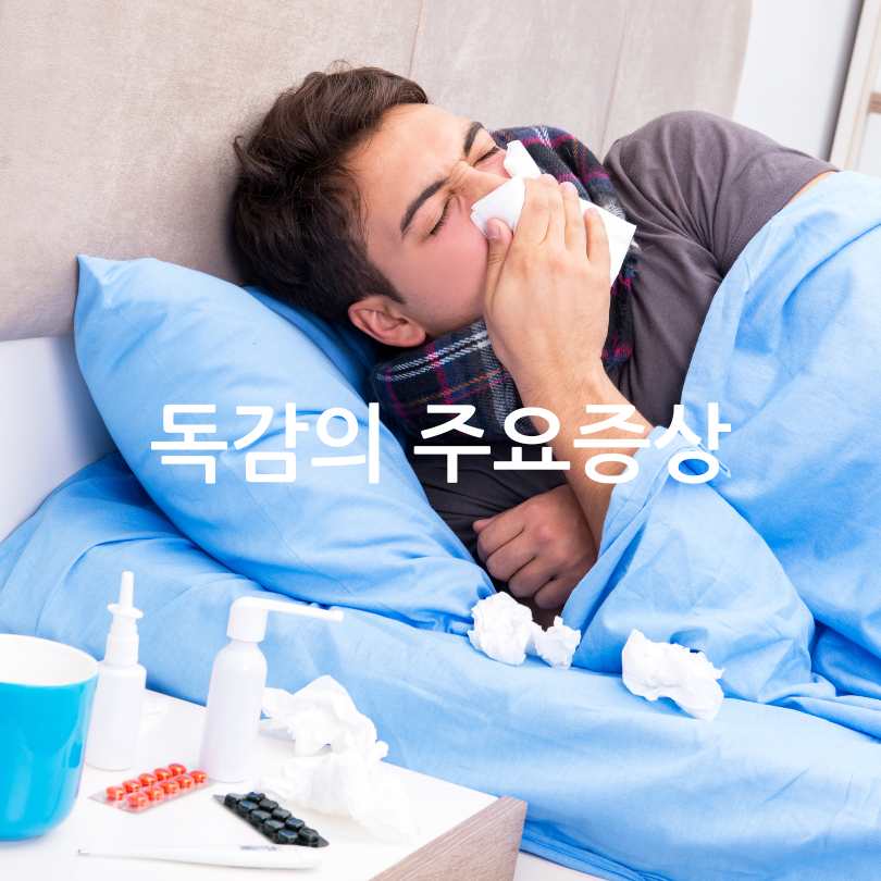 독감과폐렴