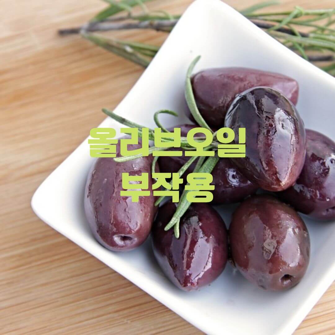 올리브사진