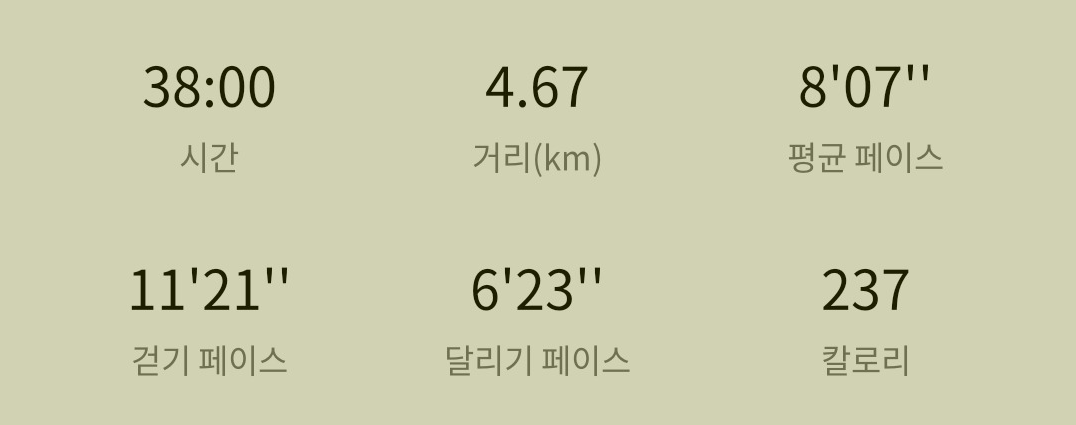 러닝 (38분)