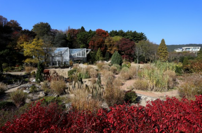 천리포수목원-가을축제