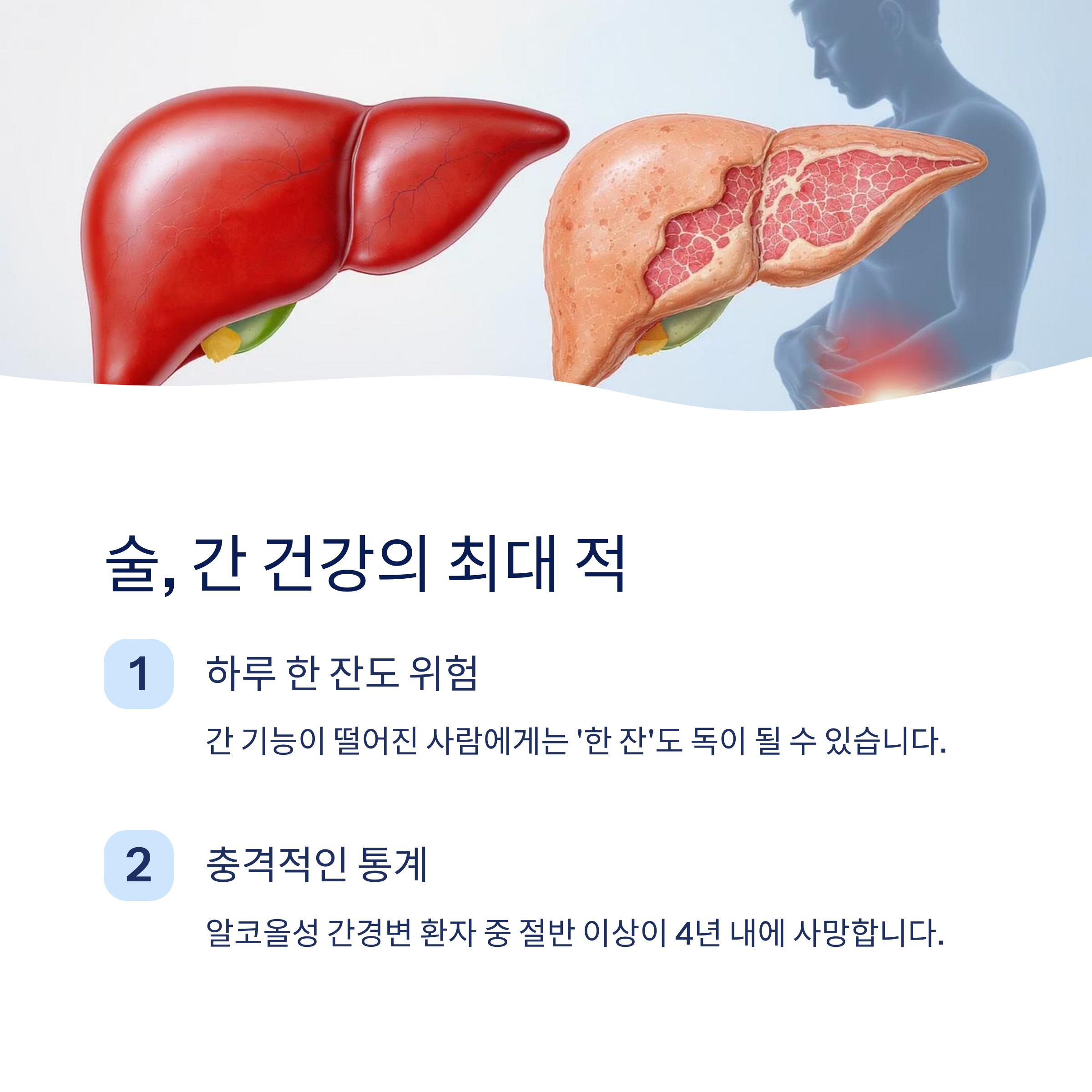 술 간 건강의 적