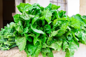 달큰한 봄동과 탱글한 새우의 만남&amp;#44; 실패 없는 전 부치기 노하우