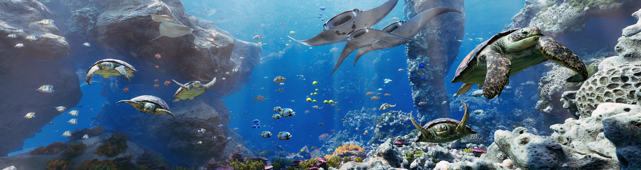 서울라이트 DDP 프로그램 소개