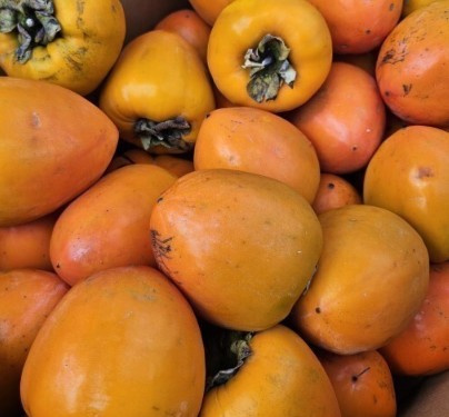 대봉시(대봉감), 홍시 빨리 익히는 법