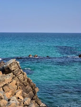 강릉 맛집 추천 여행코스에 포함하기 좋은 식당 리스트_17