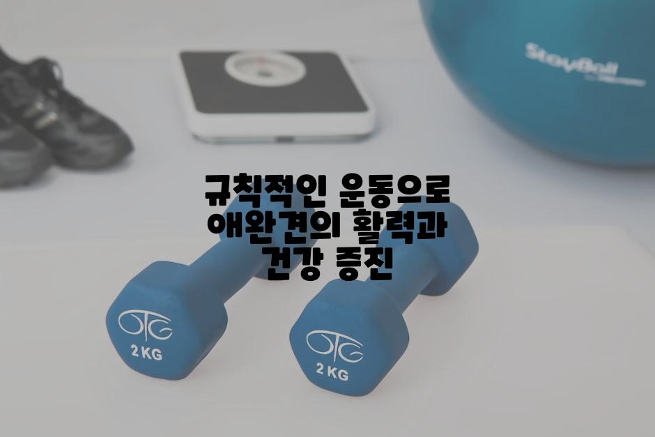 규칙적인 운동으로 애완견의 활력과 건강 증진