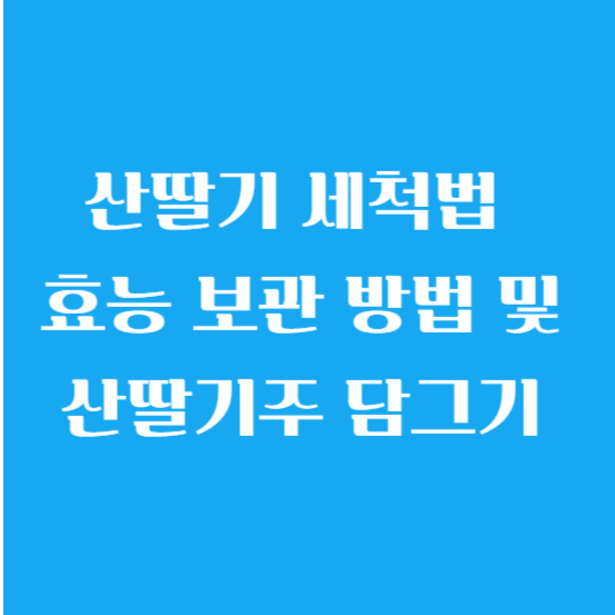 산딸기 세척법 효능 보관 방법 및 산딸기주 담그기
