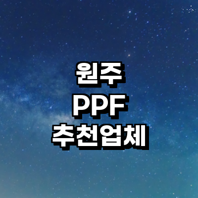 원주시 ppf