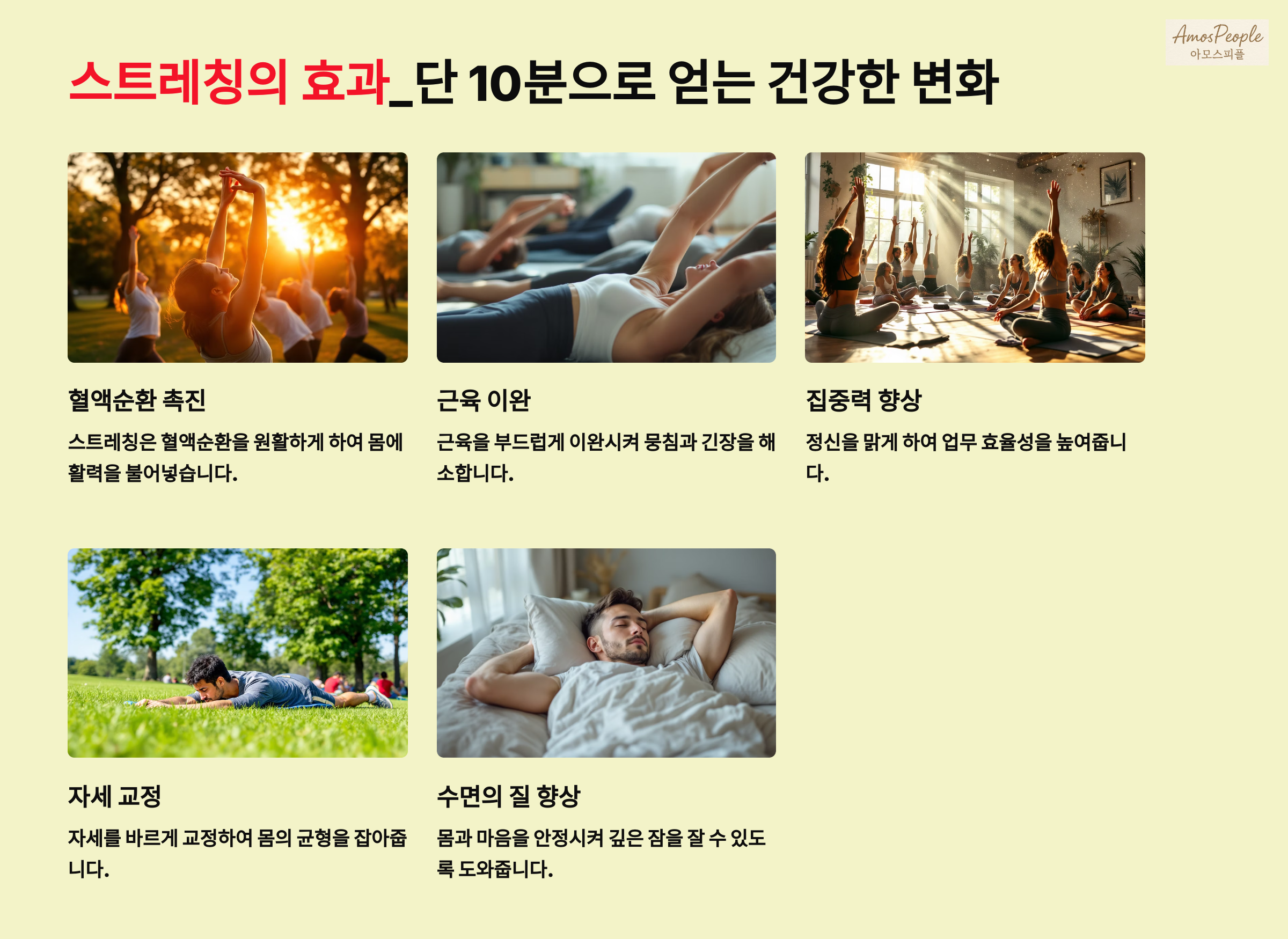 스트레칭의 효과