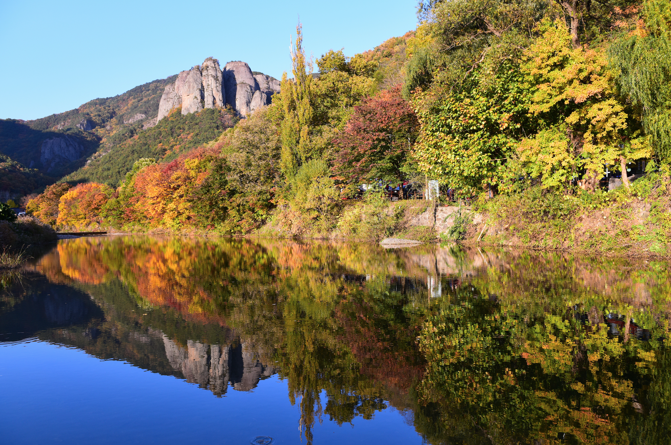 2020 단풍시기 명소