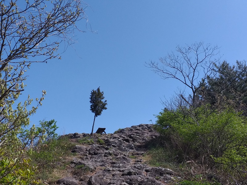 등산 칼로리