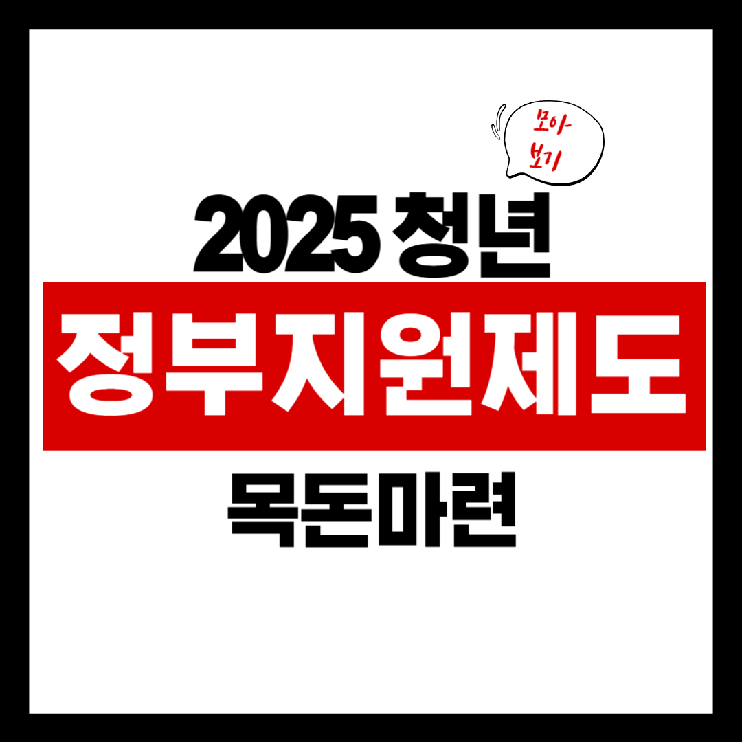 청년층을 위한 목돈 마련 전략과 정부 지원제도