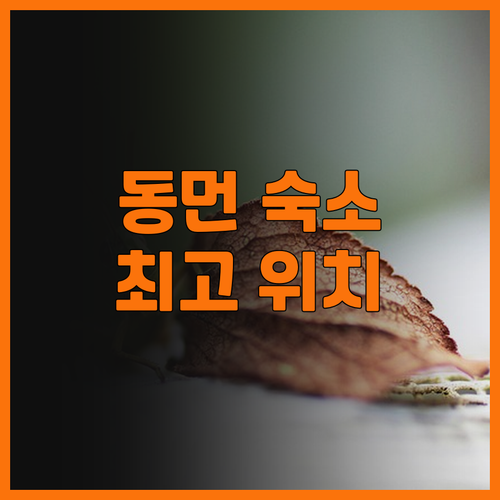 CM 서비스드 아파트멘트 심천 동문.