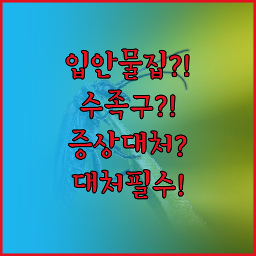 입안 물집만 생겼을 때 수족구 증상과..