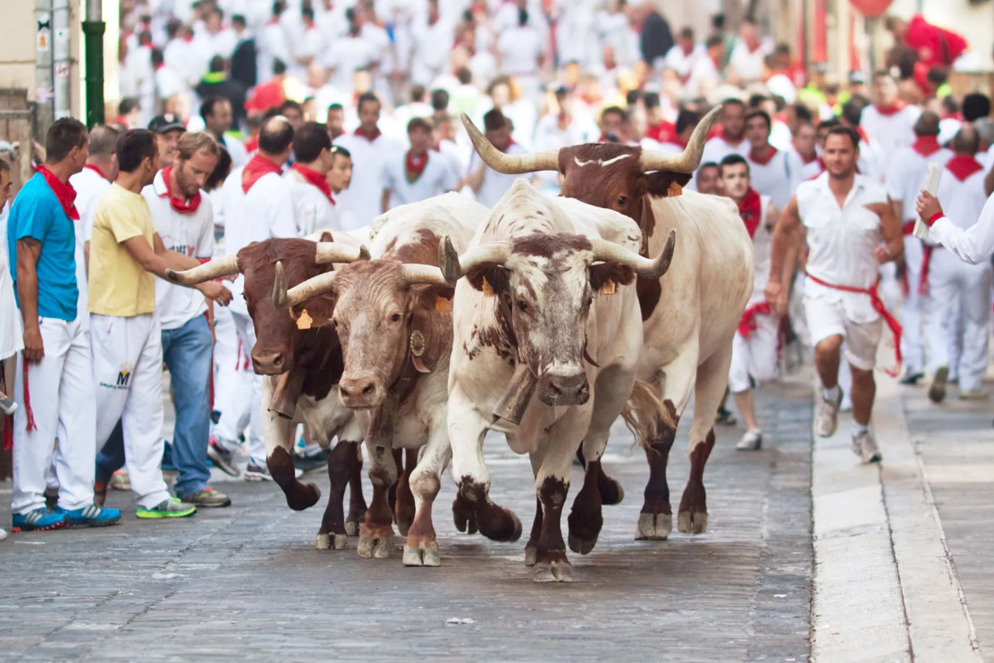 스페인 파암플로나의 산페르민 축제 (San Fermín Festival) – 소와 함께 달리는 아드레날린 폭발의 순간