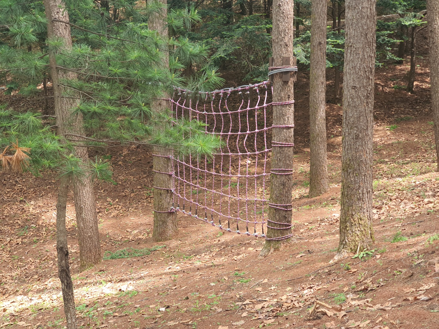 봉래산산림욕장