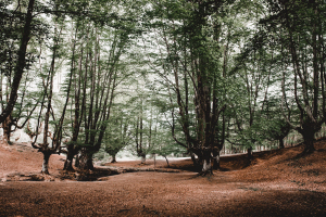 자격증 종류 5가지