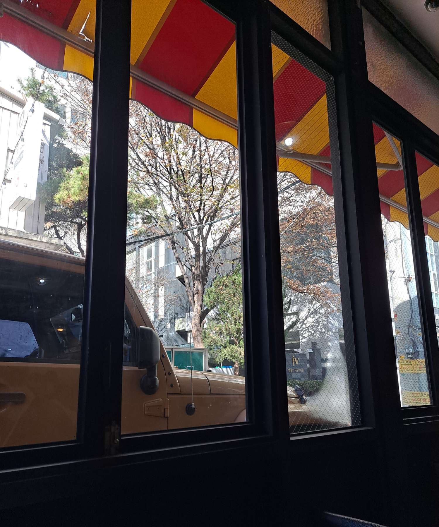 현선이네 바깥 나뭇가지