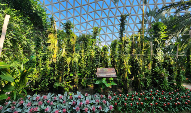 12월 여행지 추천 거제 정글돔 거제 식물원