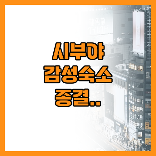 MZ세대 취향 저격 도쿄 시부야 감성..