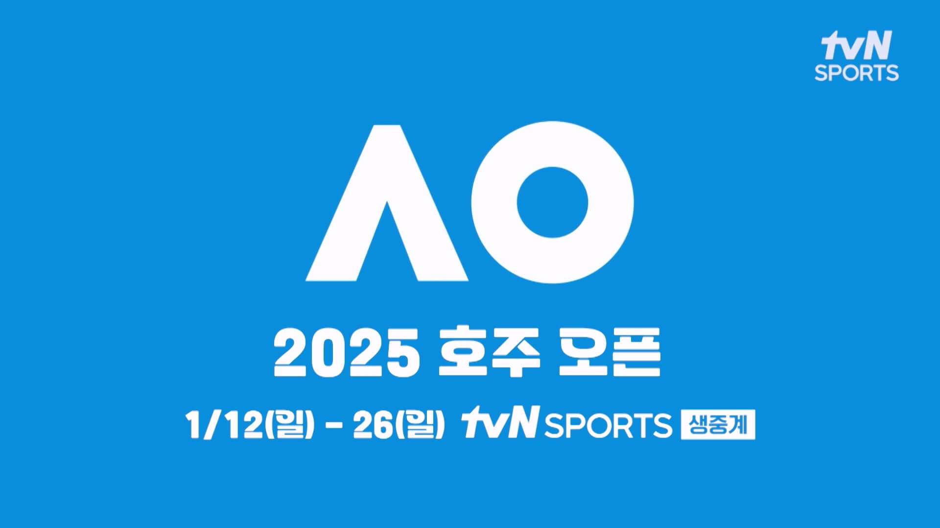 호주 오픈 테니스 대회 결승