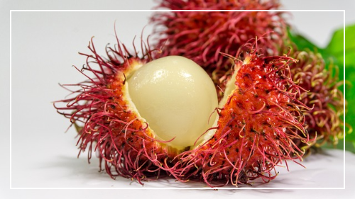 부작용 및 주의할 점