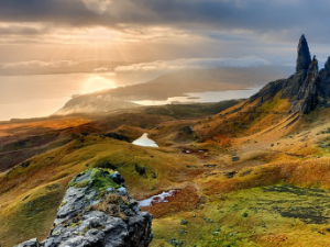 무릎에 물이 차는 증상 원인/찼을 때 치료법