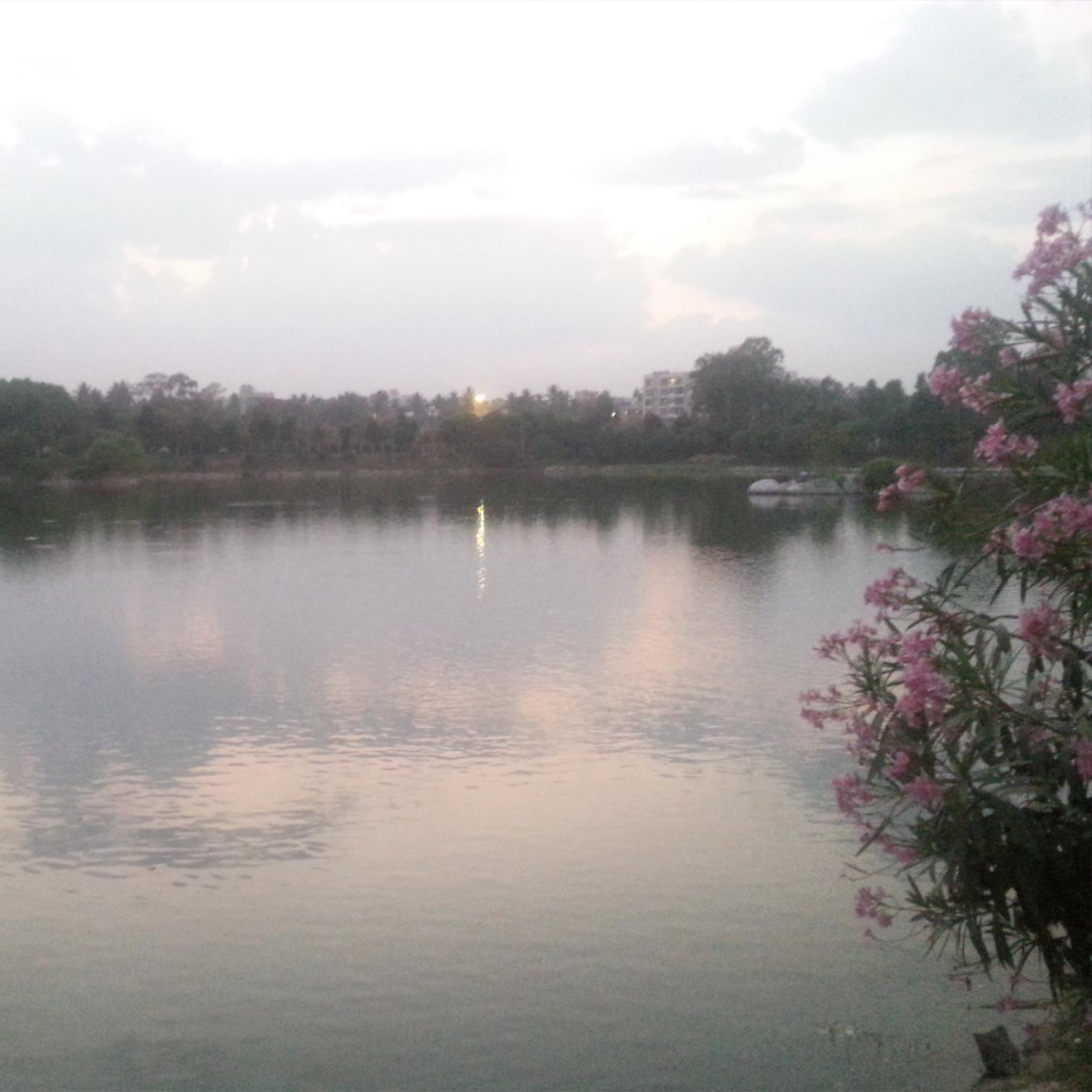 인도 벵갈루루 치나판나할리 공원