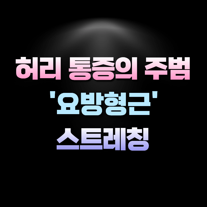 허리통증의주범요방형근스트레칭