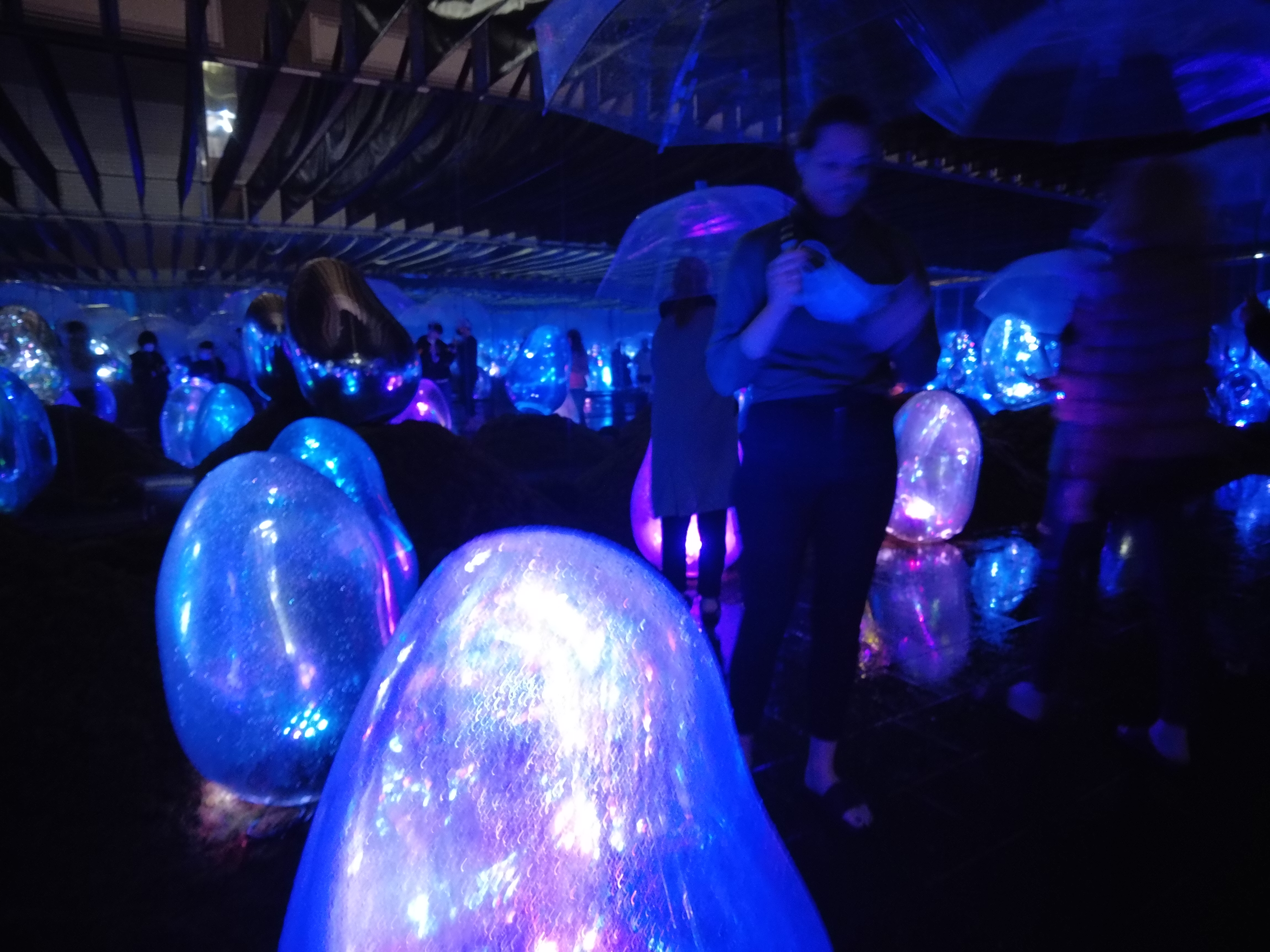 성공이란 알에서 깨어나오는 일, 도쿄