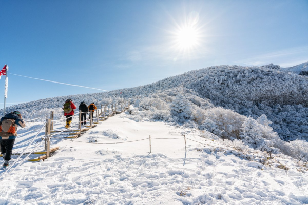 한라산 설경