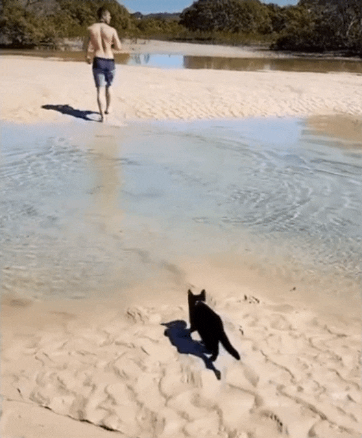 10월 29일 일요일 뉴스모음