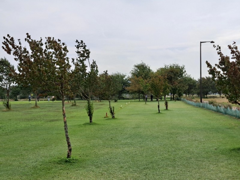 충청남도 백마강 생활체육공원 파크골프장 소개 (부여파크골프장)