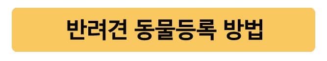 반려동물등록과진료비부가세면세
