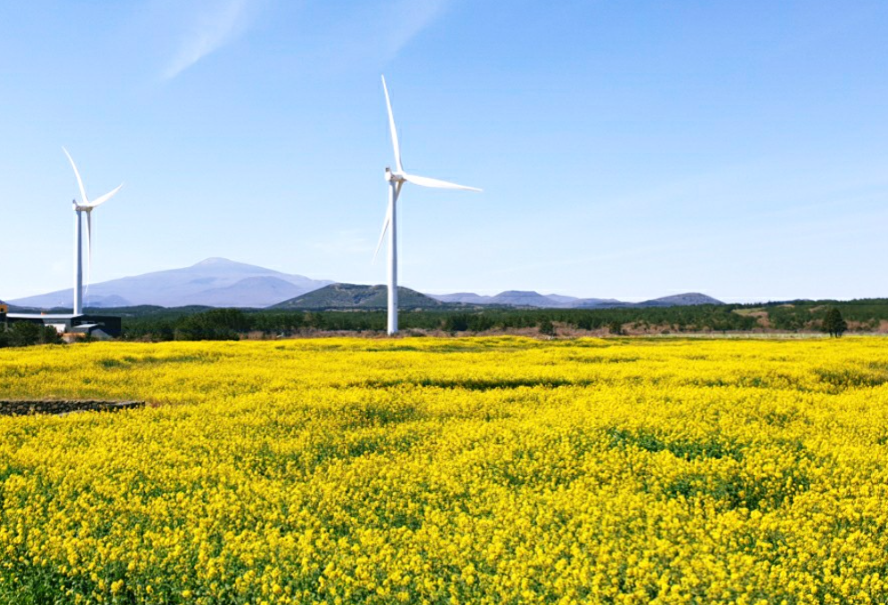 제주 가볼만한곳 베스트 10