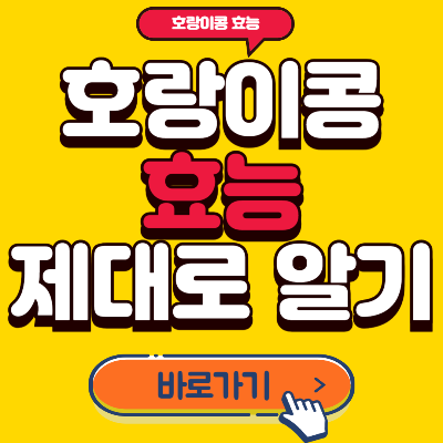 호랑이콩효능