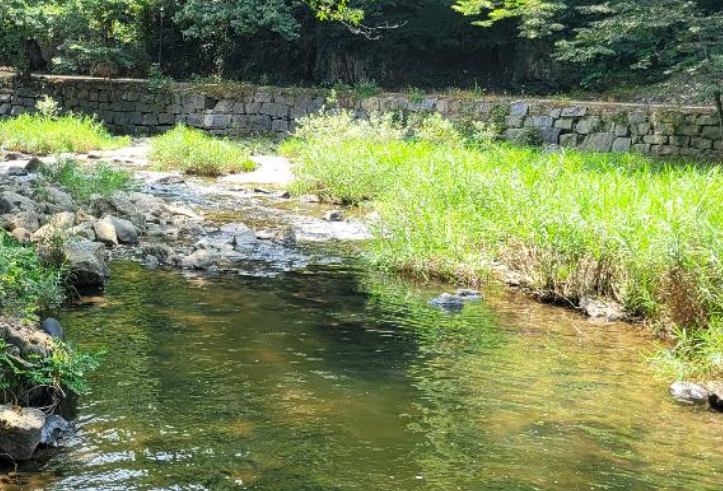 마곡사 계곡 여행