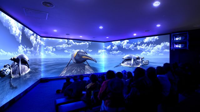 아쿠아플라넷 내부 사진