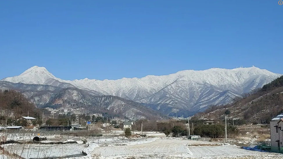 양평 용문산 (Yongmunsan)