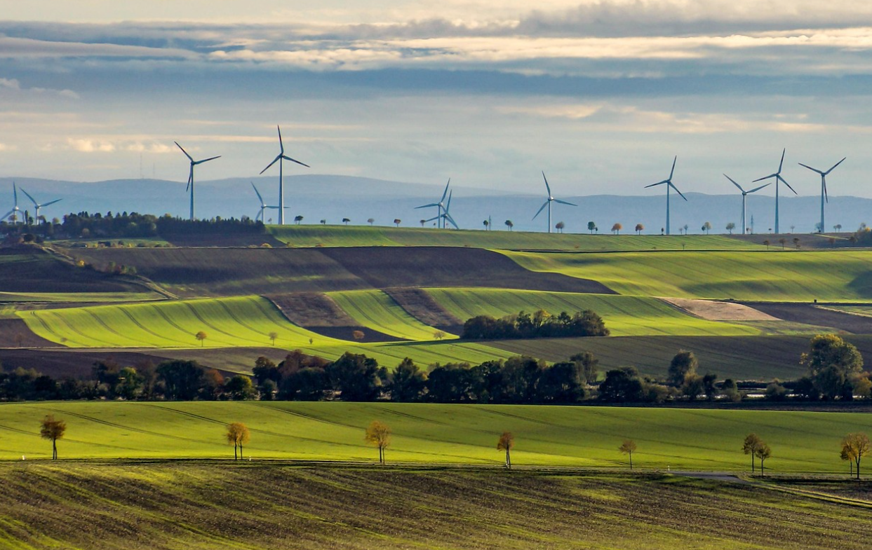 재생 에너지 컨설턴트 (Renewable Energy Consultant)
