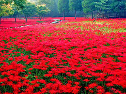 추석연휴 가볼만한 곳 전국 축제 행사