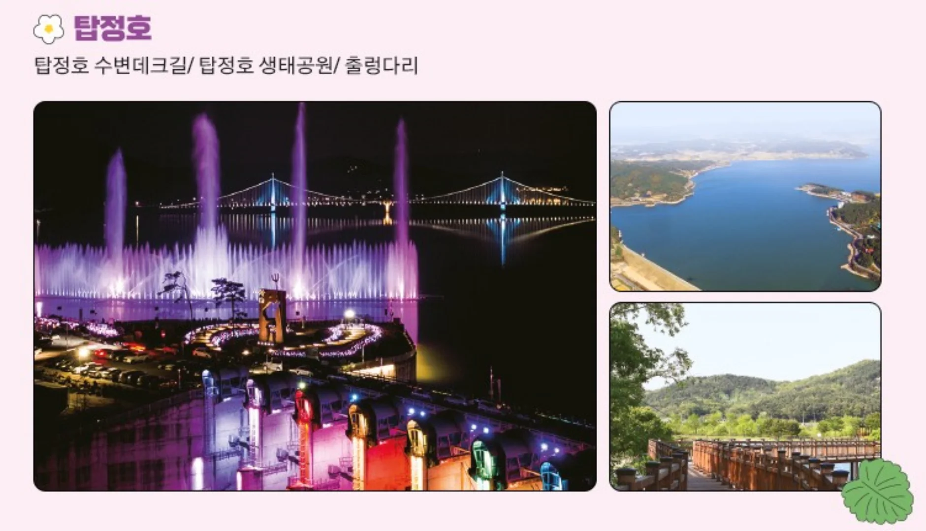 논산 딸기축제 2025