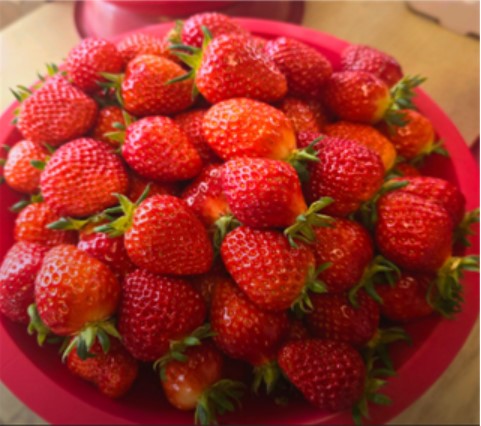 실제 판매하고있는 용기에 담긴 빨간 딸기가 크고 싱싱한 것이 맛있어 보입니다.