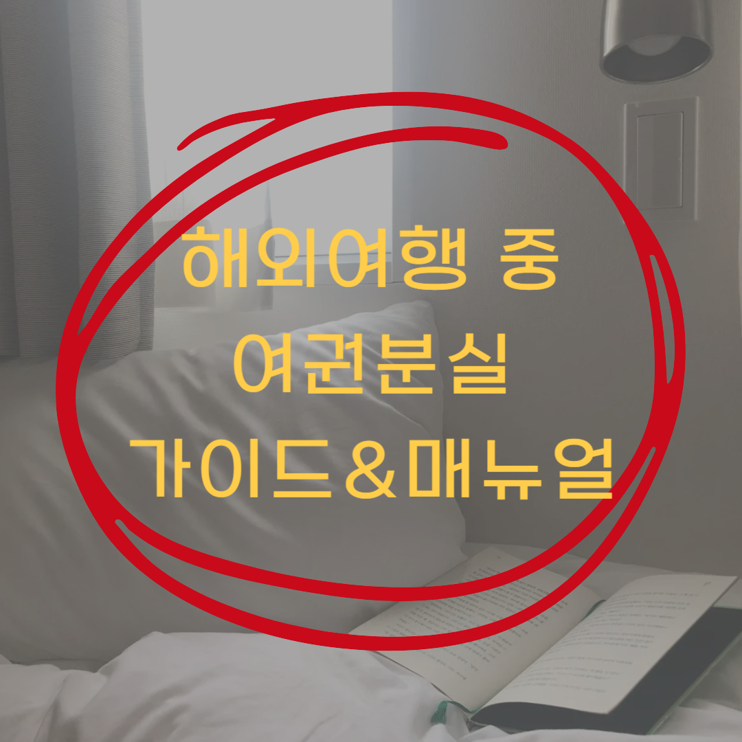 해외여행 여권분실 대처 가이드&amp;매뉴얼(해외안전여행 앱)