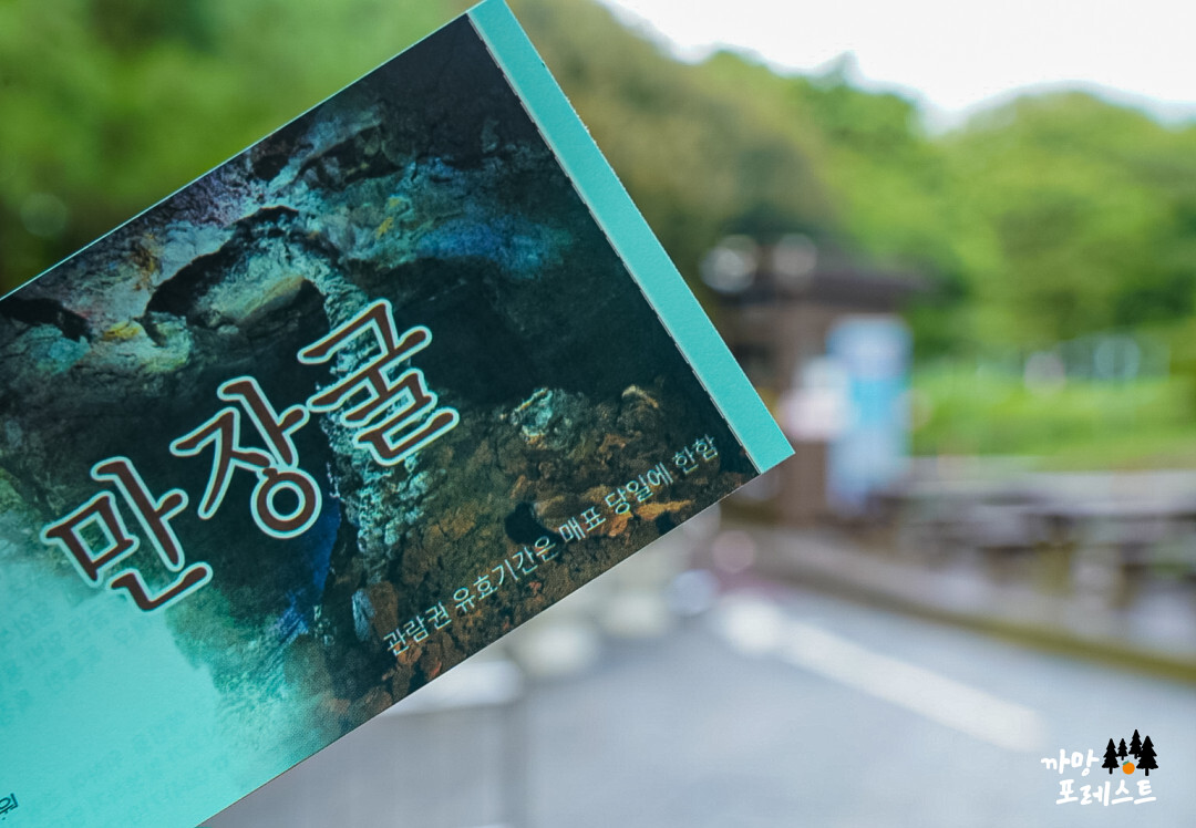 제주 만장굴 입장권