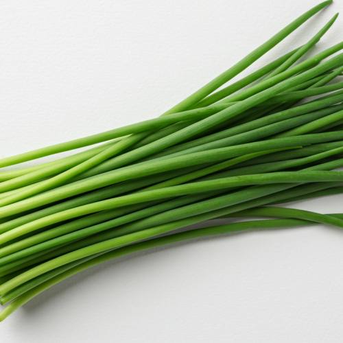 부추 요리 추천 재료