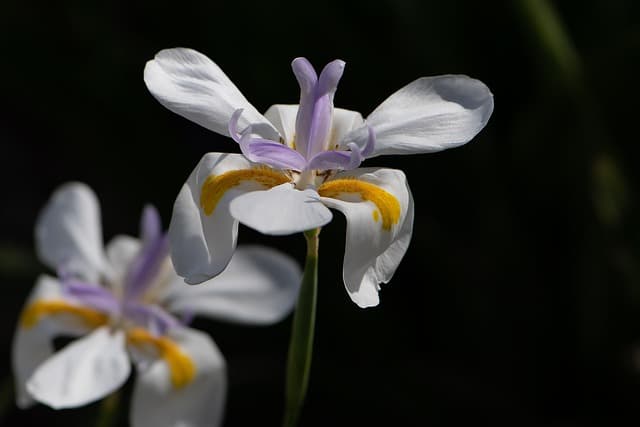 블리치 소울 레조넌스 공략 궁금하셨죠?