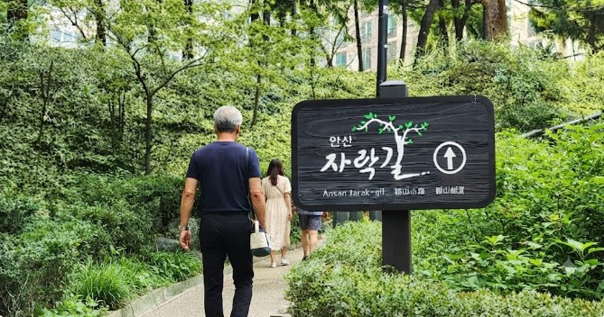 안산자락길 입구를 걸어 올라가는 남성